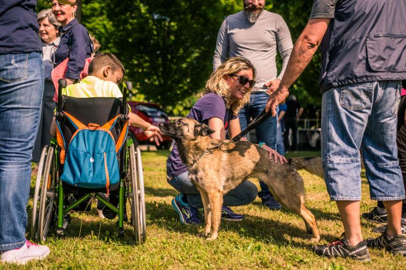 evento-agility-cani-campellomotors-07 (1)