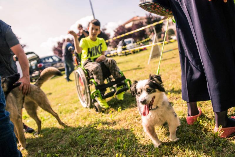 evento-agility-cani-campellomotors-08