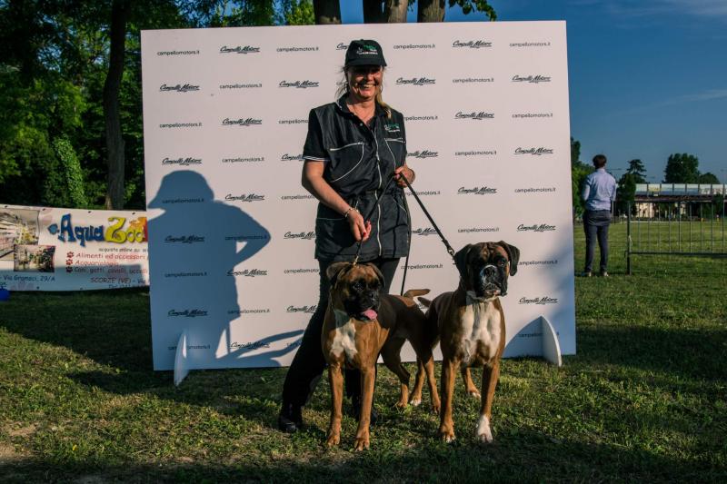 evento-agility-cani-campellomotors-126_0