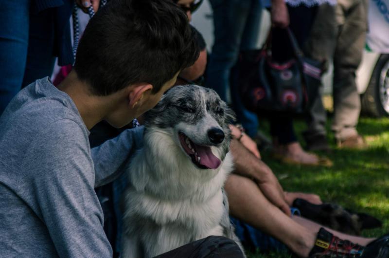 evento-agility-cani-campellomotors-128_0