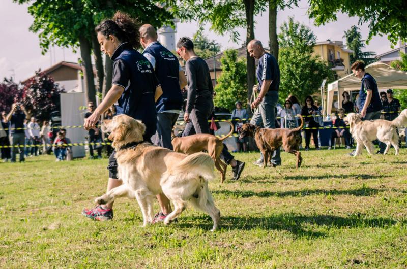 evento-agility-cani-campellomotors-155_0