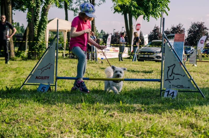 evento-agility-cani-campellomotors-187