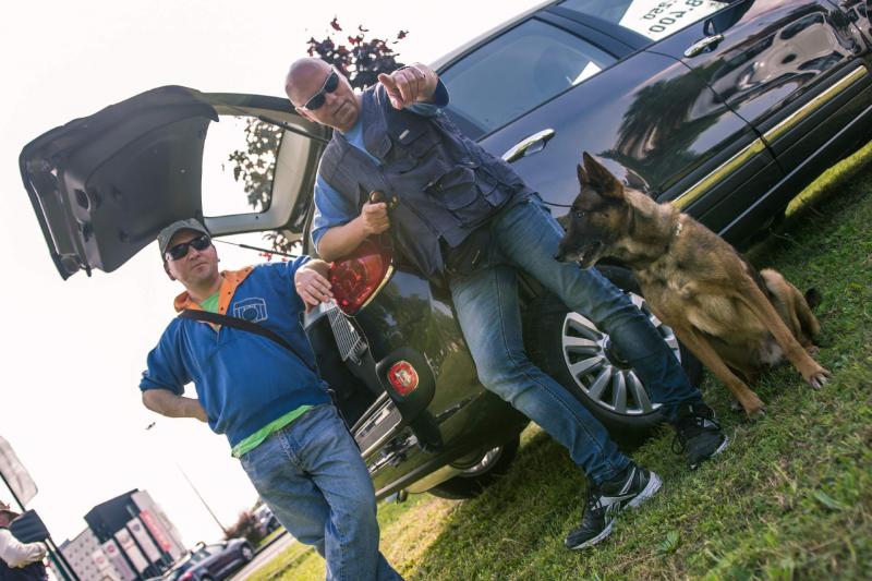 evento-agility-cani-campellomotors-29