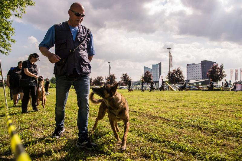 evento-agility-cani-campellomotors-31