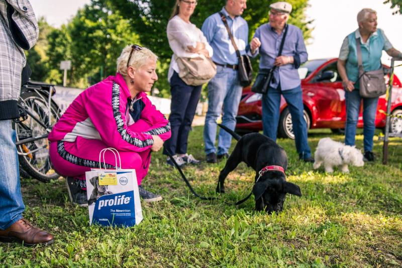 evento-agility-cani-campellomotors-40