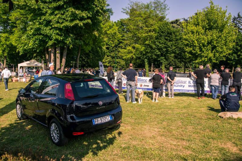 evento-agility-cani-campellomotors-48