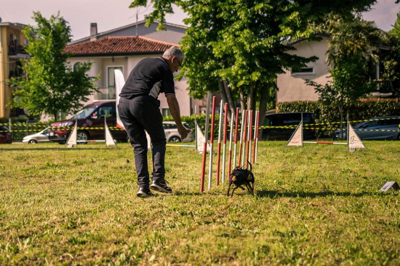 evento-agility-cani-campellomotors-56