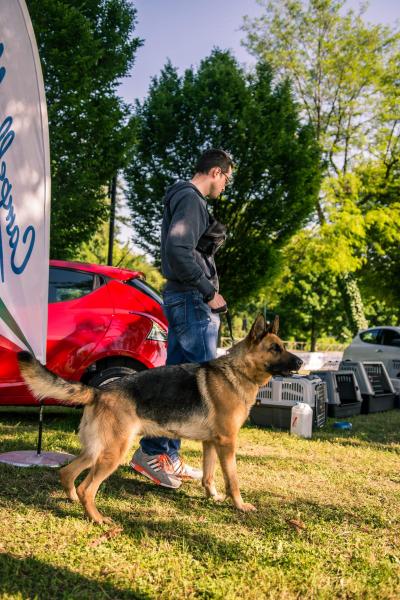 evento-agility-cani-campellomotors-57