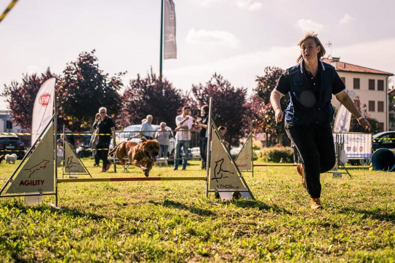 evento-agility-cani-campellomotors-58