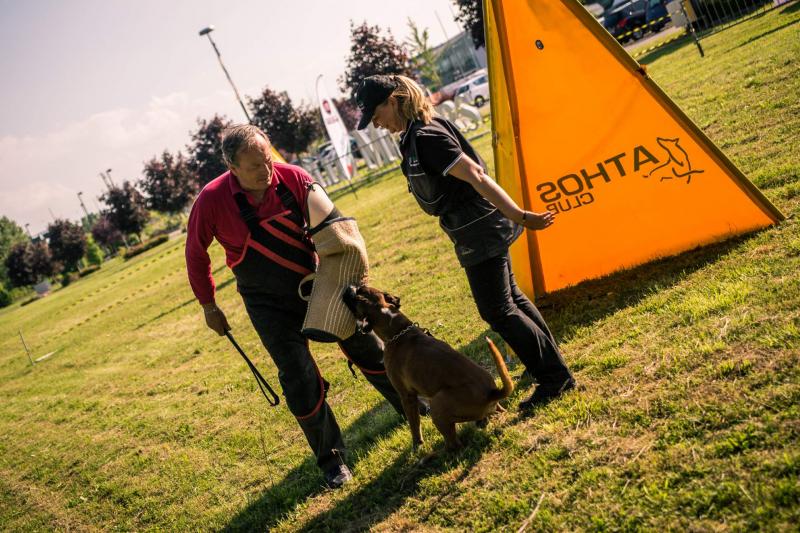 evento-agility-cani-campellomotors-68