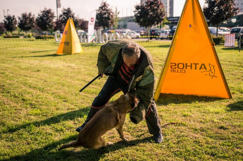 evento-agility-cani-campellomotors-74