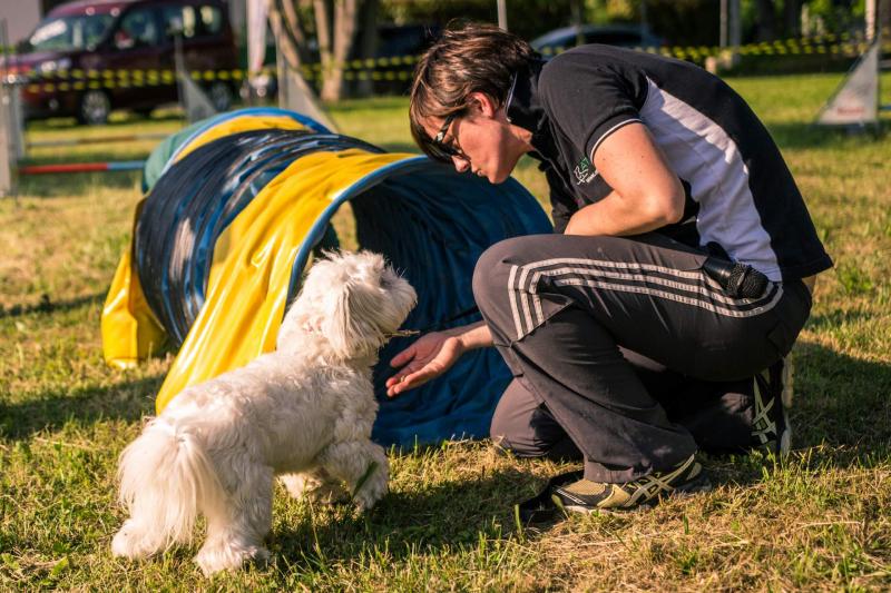 evento-agility-cani-campellomotors-97