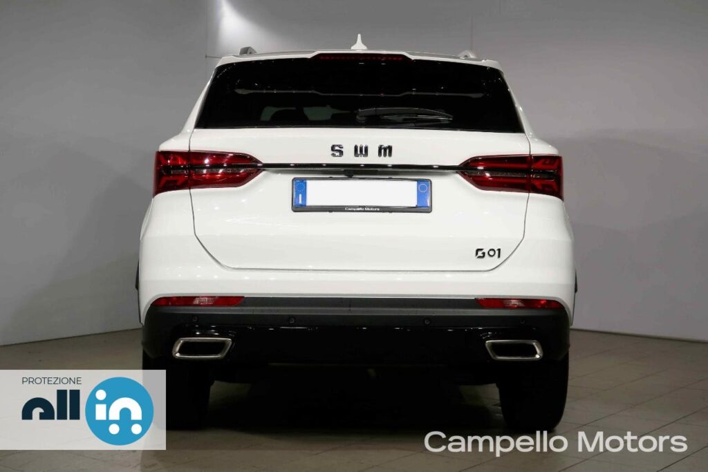SWM AUTO G01 1.5 Turbo MT Usato