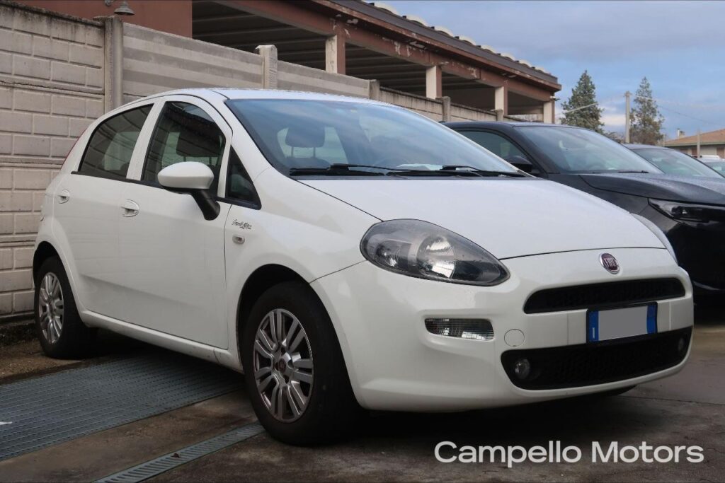 FIAT Punto 1.2 69cv 5p Lounge Usato Mirano