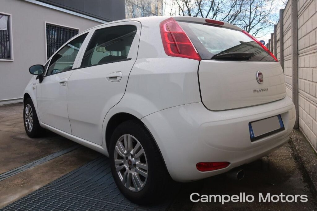 FIAT Punto 1.2 69cv 5p Lounge Usato Mirano
