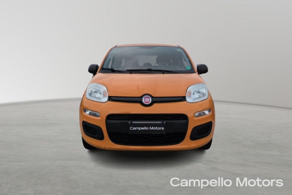 FIAT Panda 1.2 69cv Easy Usato Mirano