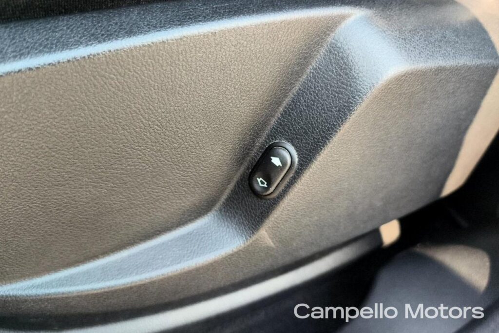 FORD Galaxy 2.0 TDCi 163cv Powershift New Titanium Usato Mestre