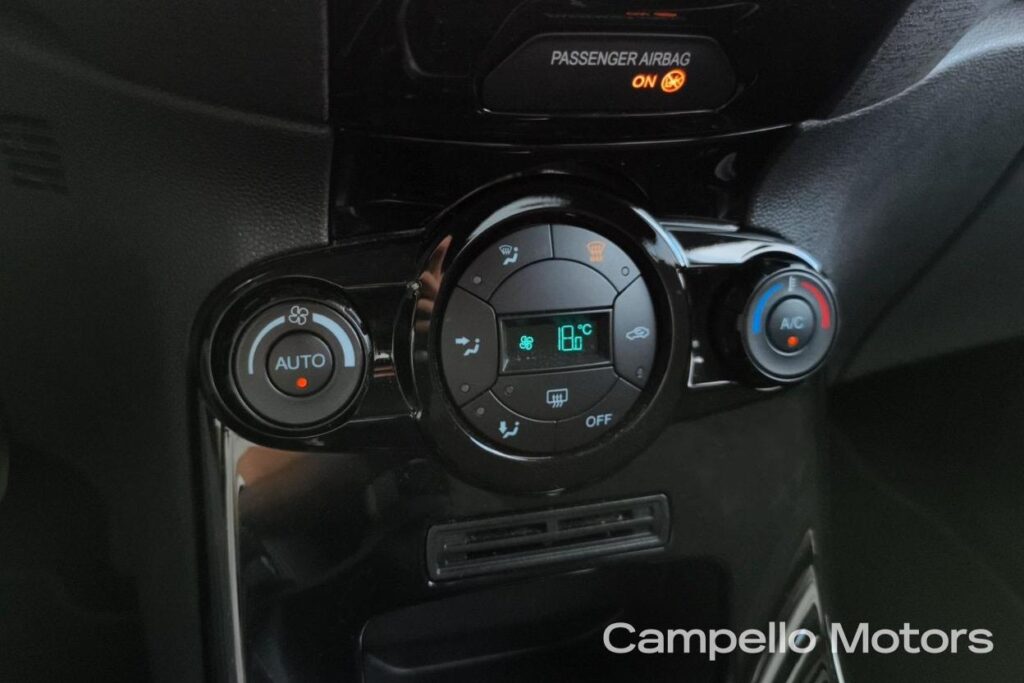 FORD Fiesta 1.4 GPL 5p. Titanium Usato Mestre