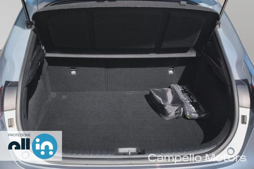 KIA Xceed 1.0 T-GDi GPL Business Usato Mestre