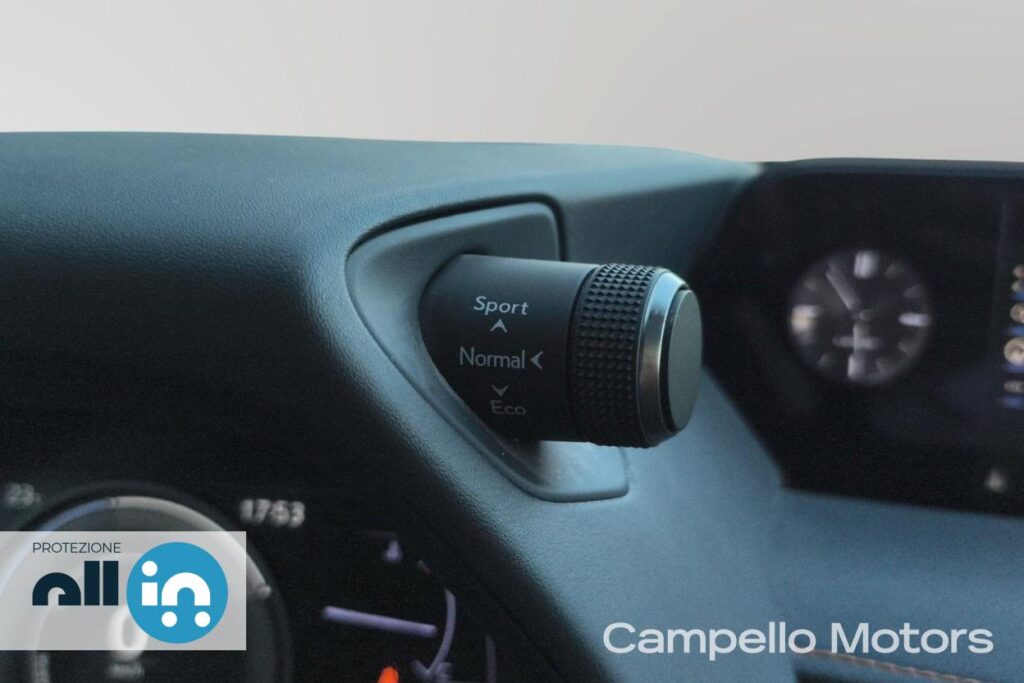 LEXUS UX Hybrid Luxury Usato Mestre